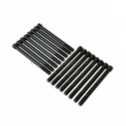 6 Cyl Head Bolts