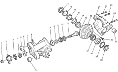 Differential Exploded View