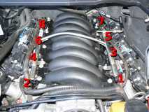 GM V8 Cylinder Numbers