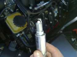 Preparing to fit the Spark Plug by Hand
