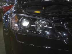 Series I VE Commodore Projector Headlamps