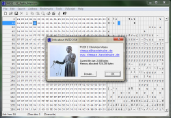 Windows XVI32 Hex Editor