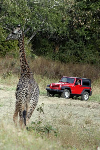 2007 Jeep Wrangler