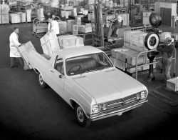 Holden HR Ute