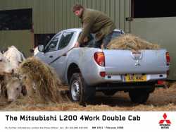 2010 Mitsubishi L200 4Work