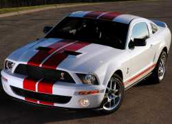 Mustang